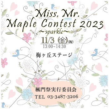 11.3  Miss.& Mr. Maple contest 2023~sparkle~