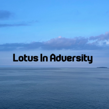 34号館A204  Lotus in Adversity